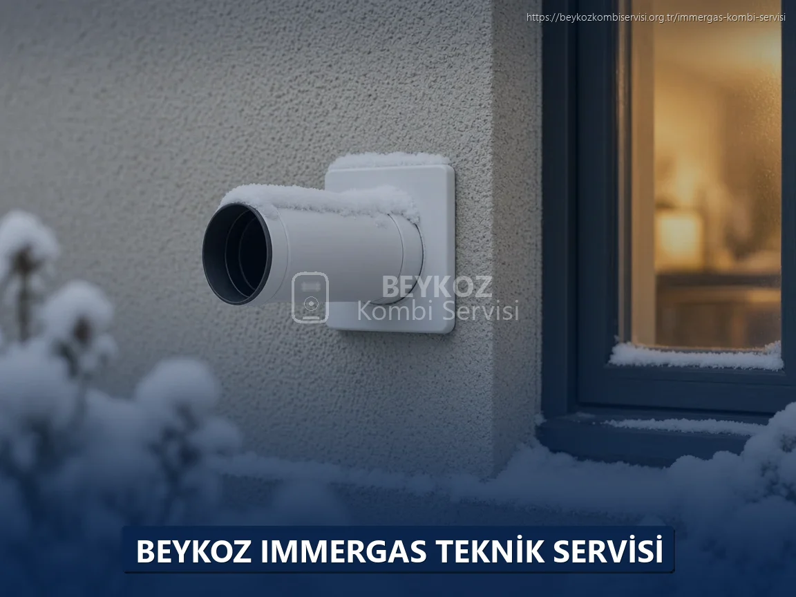 Beykoz Immergas Teknik Servisi